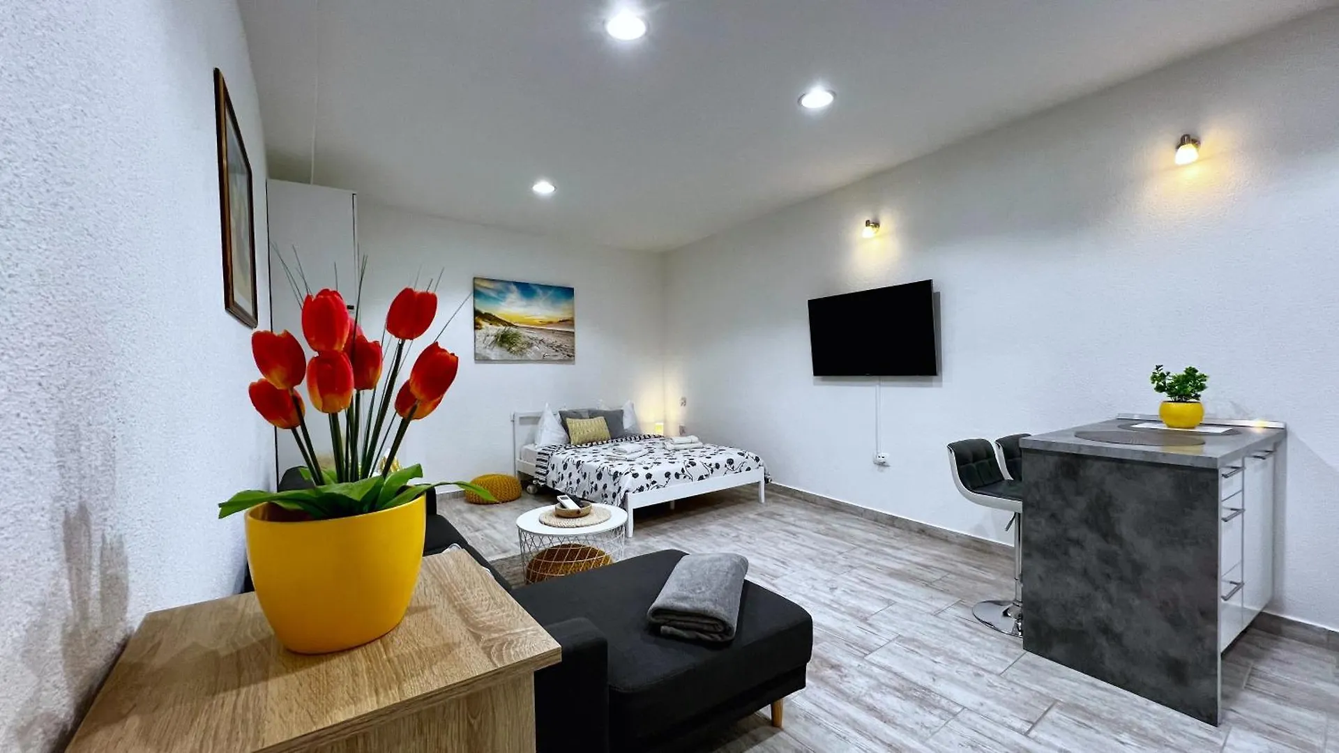 Studio De Mare Rovigno
